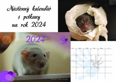 Nástěnný kalendář POTKANI 2024